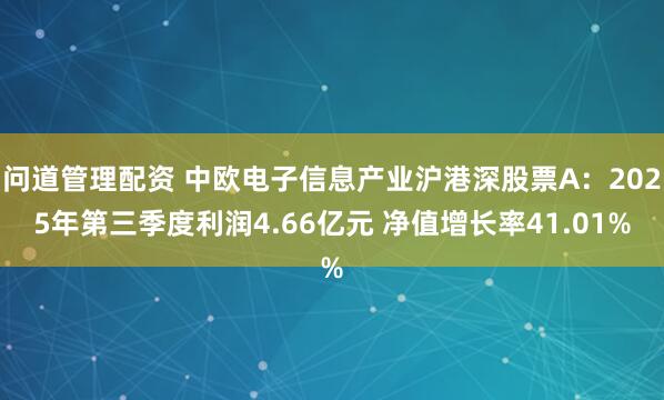 问道管理配资 中欧电子信息产业沪港深股票A：2025年第三季度利润4.66亿元 净值增长率41.01%